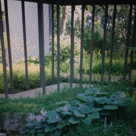 Avliving City Flat Basel With Roof Garden المظهر الخارجي الصورة